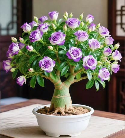 🌵 Rare Desert Rose Seeds 🌺 — Exotic Charm, Easy and Effortless Home Cultivation